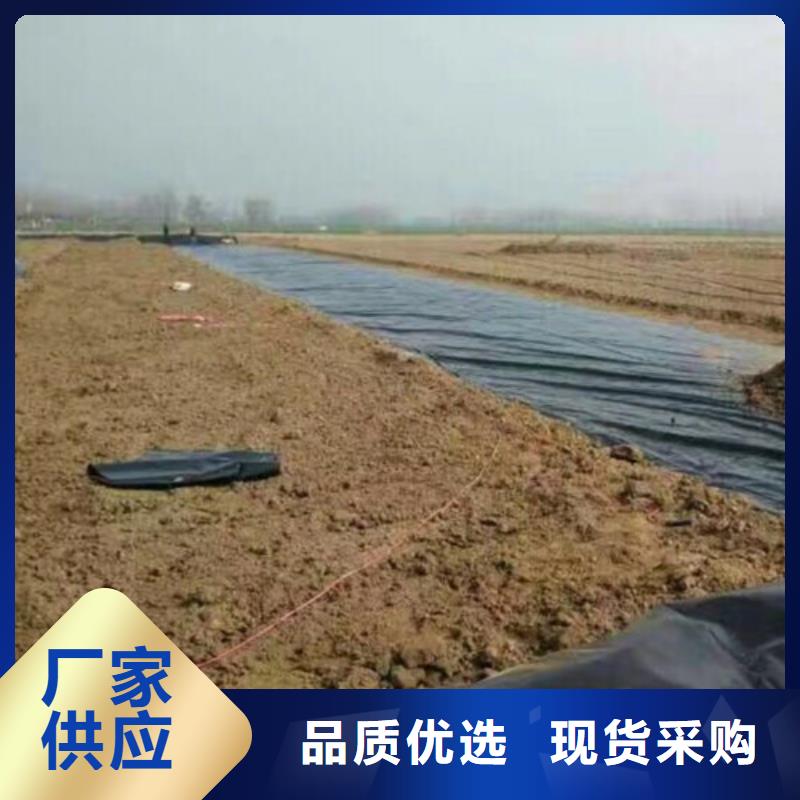 土工膜_土工格栅值得信赖