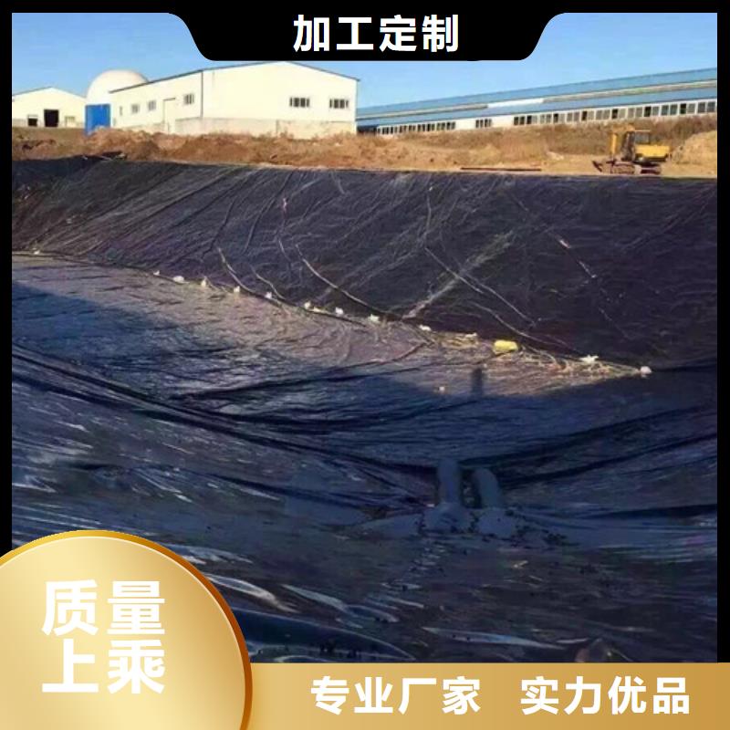 土工膜防水板源厂直销