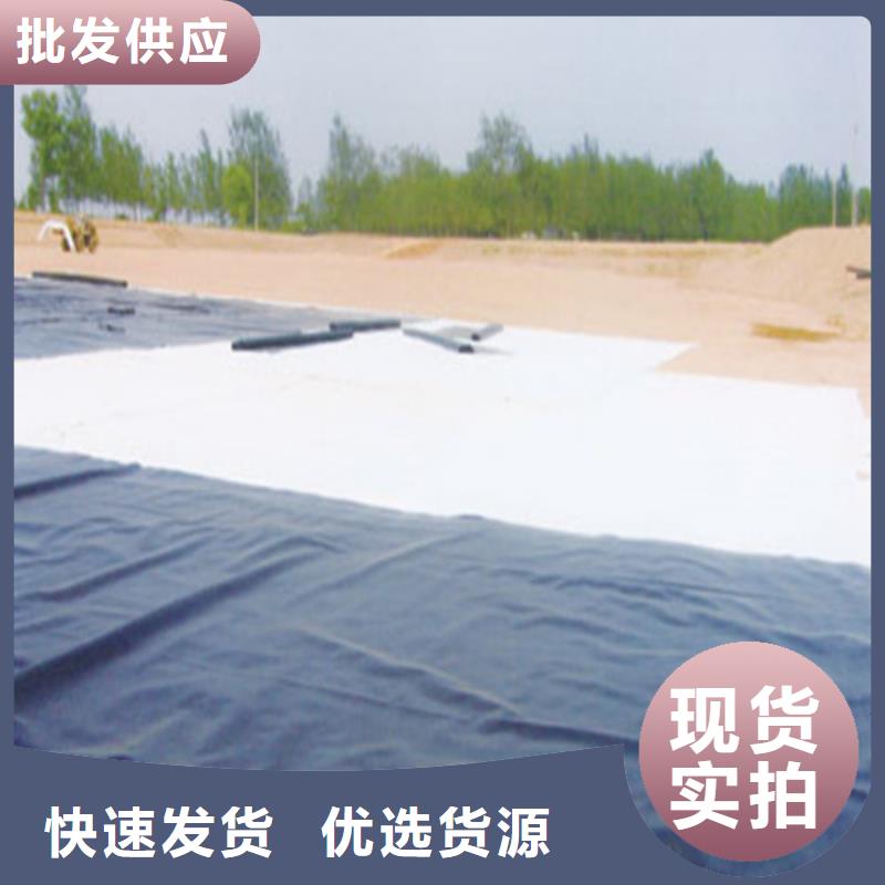 土工膜防渗土工膜海量货源