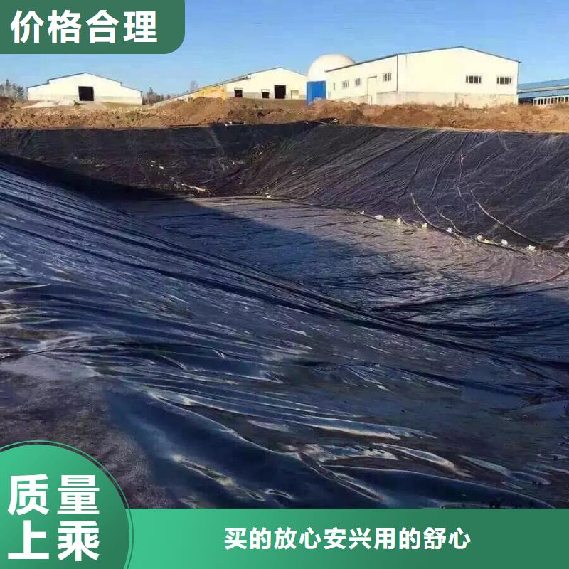 土工膜防渗土工膜讲信誉保质量