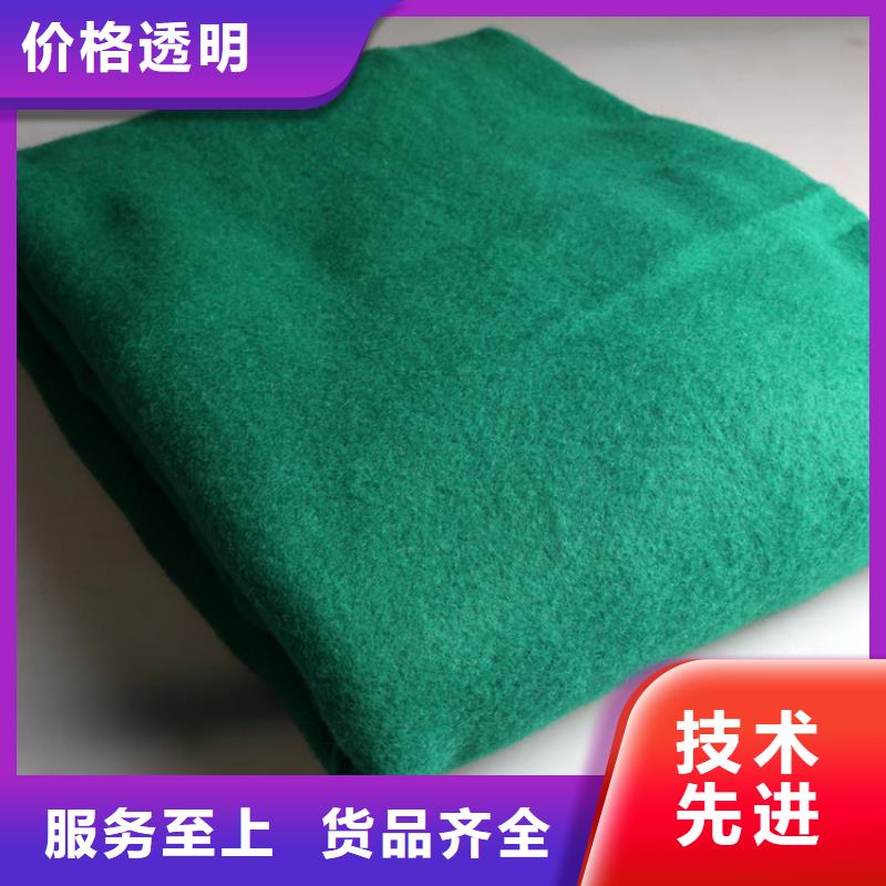 土工布HDPE土工膜款式新颖