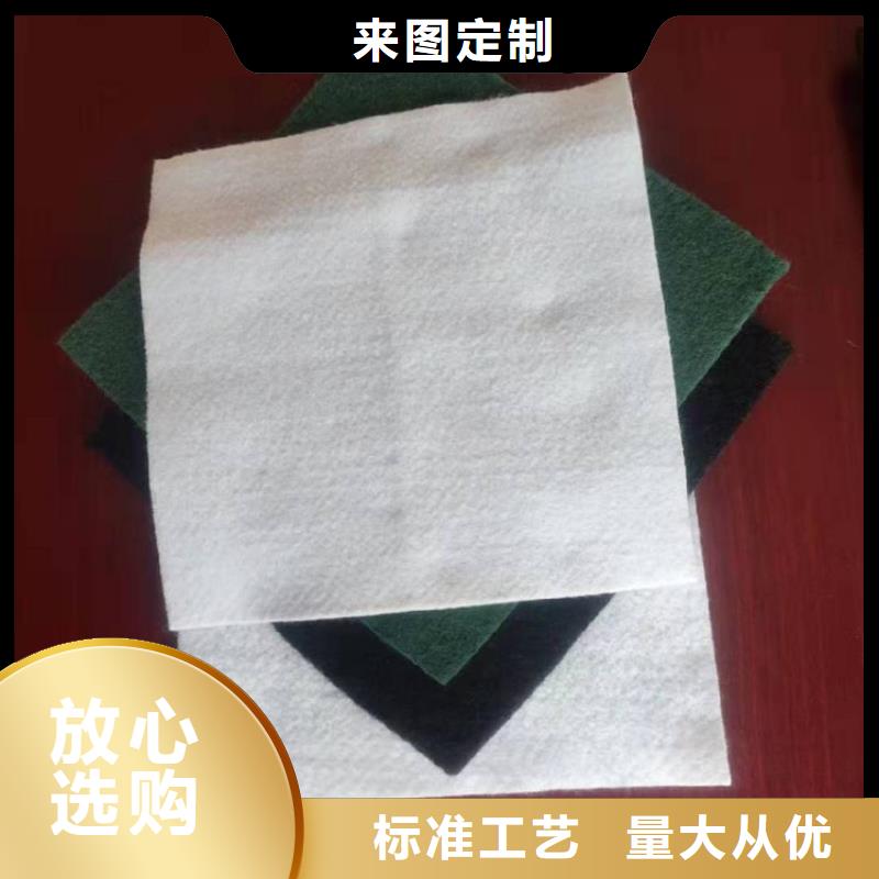 【土工布-土工席48小时发货】