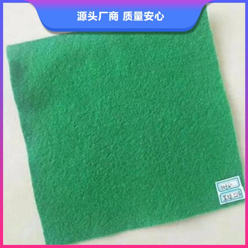 【土工布】HDPE土工膜一个起售选择我们没错