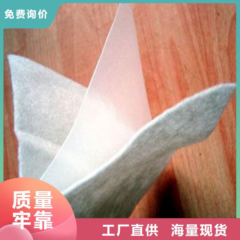 土工布-土工布实力派厂家