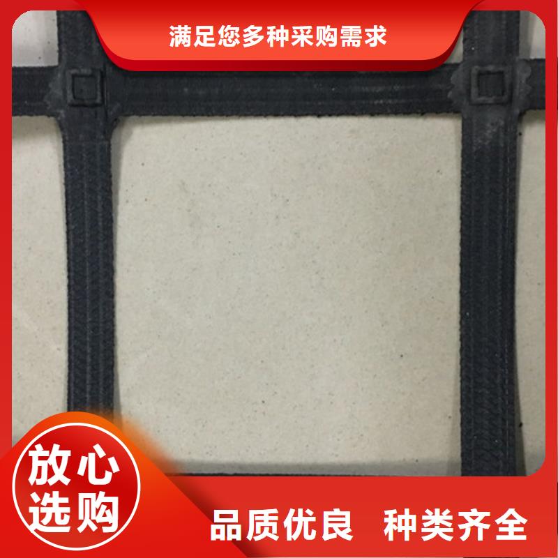 土工格栅钢塑格栅实力工厂