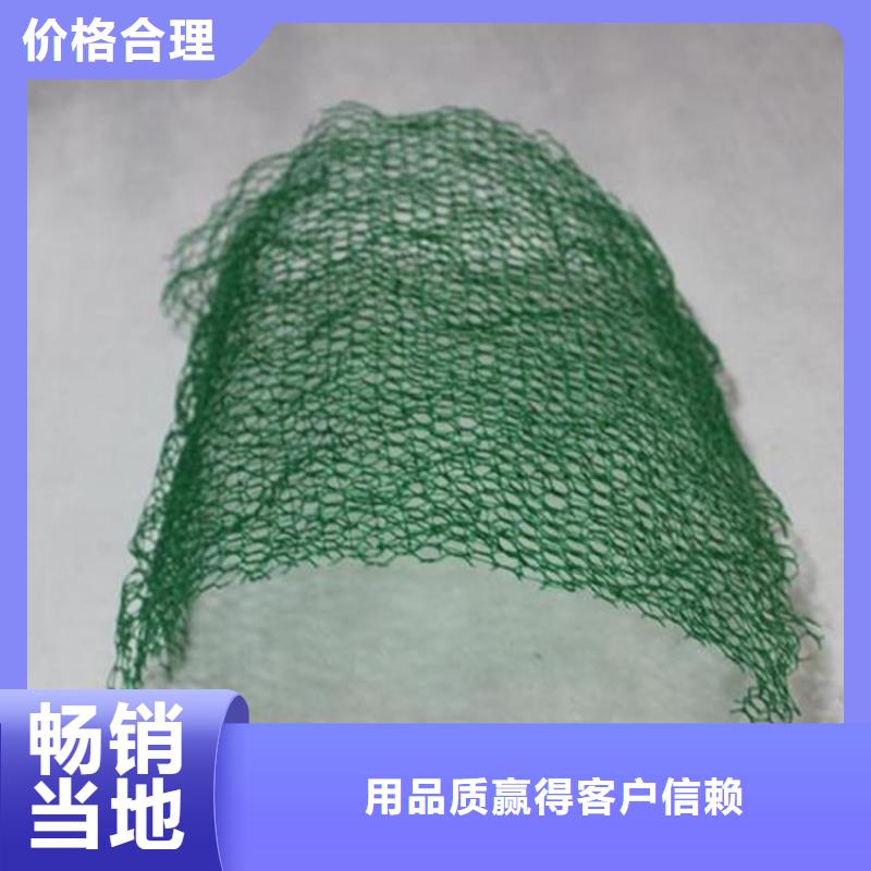 三维植被网生态袋制造厂家