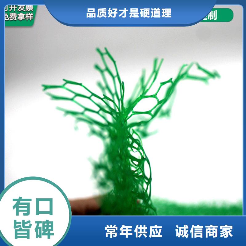 三维植被网-土工席工厂价格