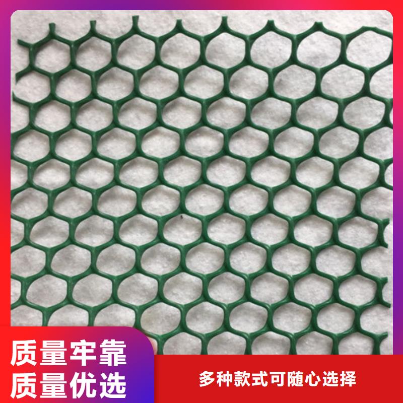 三维植被网,三维土工网垫厂家十分靠谱
