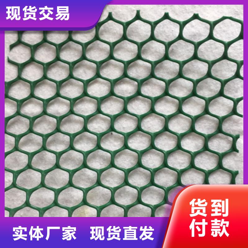 三维植被网加筋麦克垫多年实力厂家