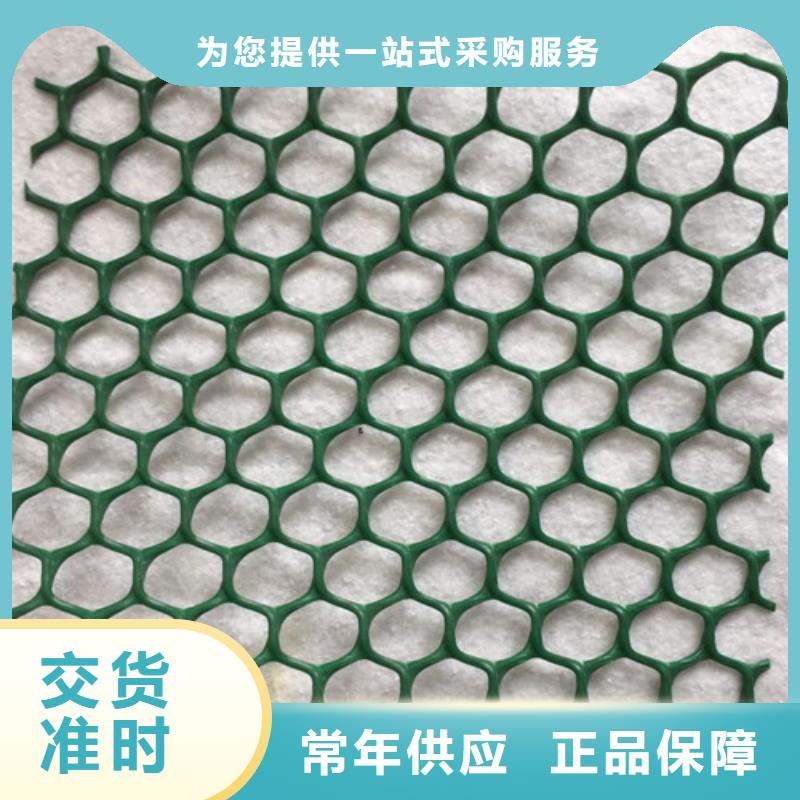 三维植被网,三维植被网垫材质实在