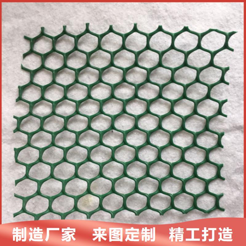三维植被网-三维网垫优选原材