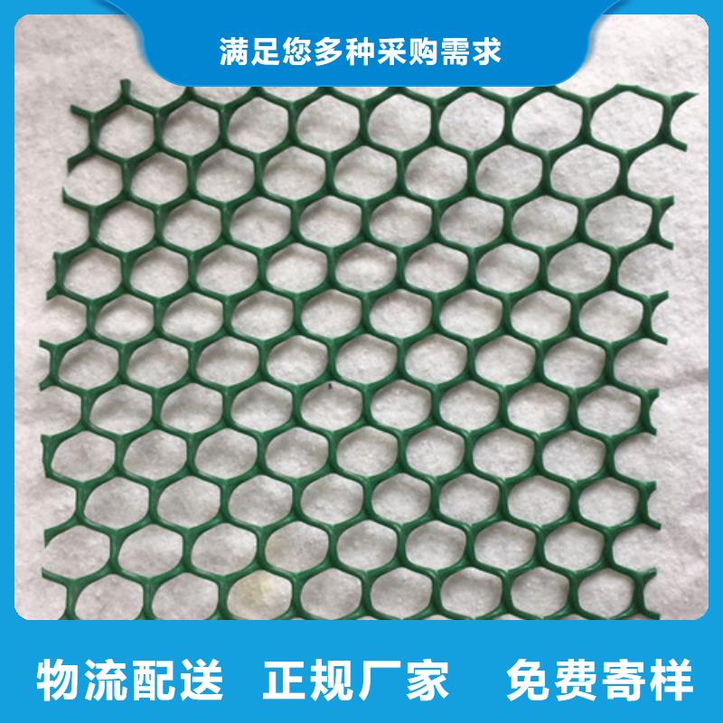 三维植被网加筋麦克垫多年实力厂家