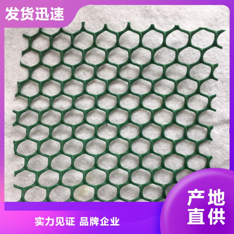 三维植被网三维植被网从源头保证品质