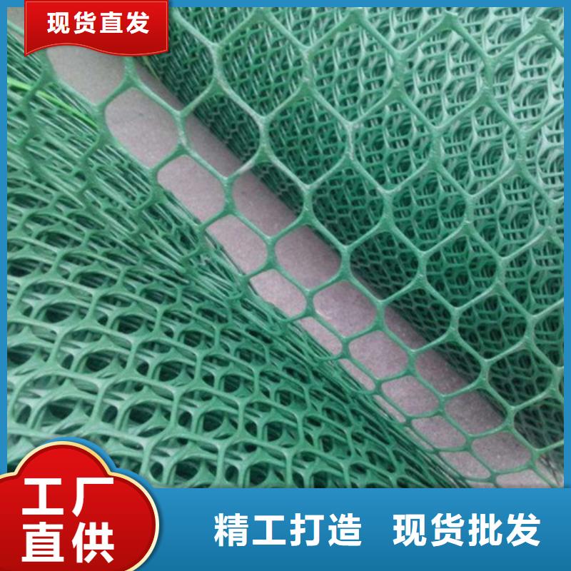 三维植被网三维植被网垫直销厂家