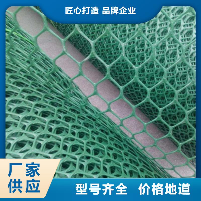 三维植被网_加筋麦克垫购买的是放心