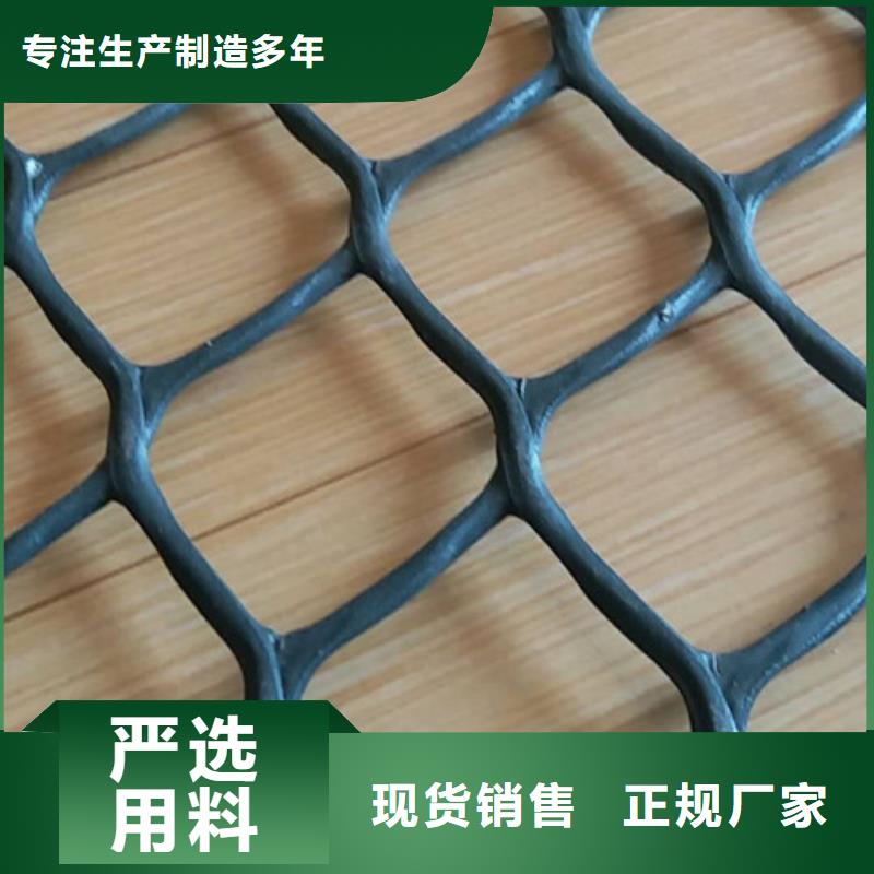 三维植被网,三维土工网垫厂家十分靠谱