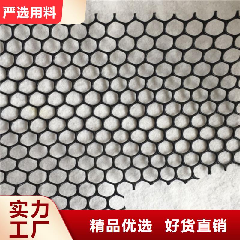 三维植被网三维土工网垫定制定做