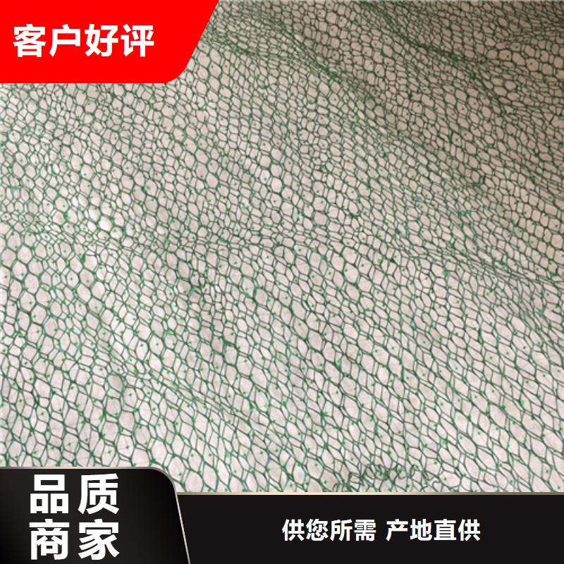三维植被网,三维网垫专注产品质量与服务
