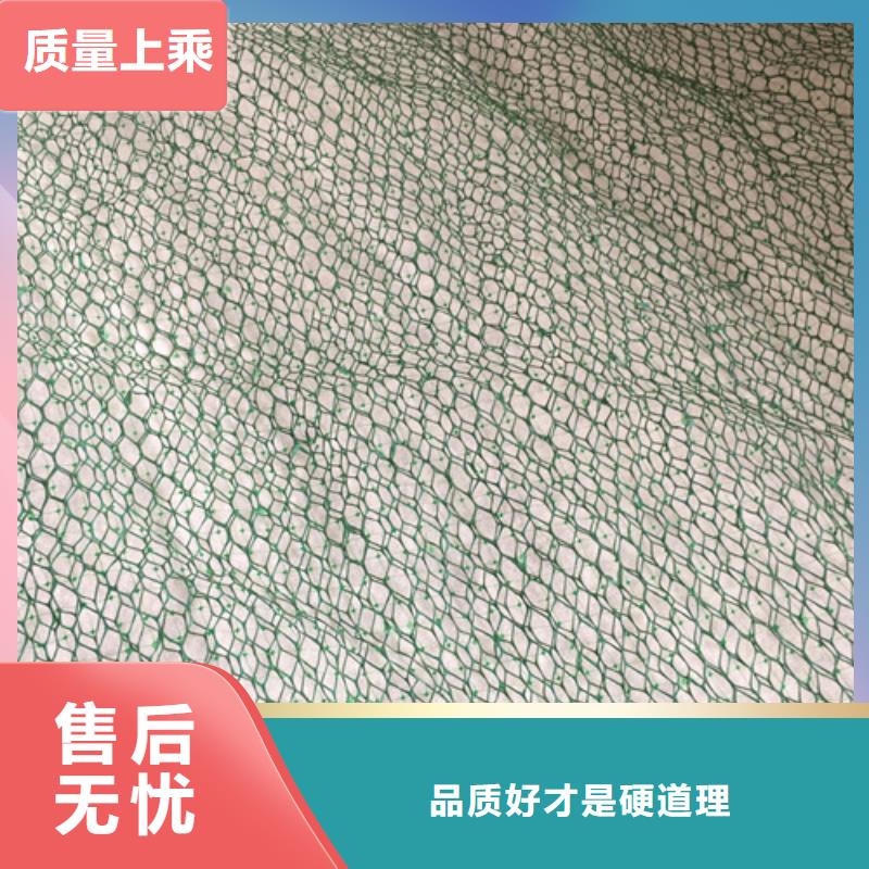 三维植被网-加筋麦克垫厂家质量过硬