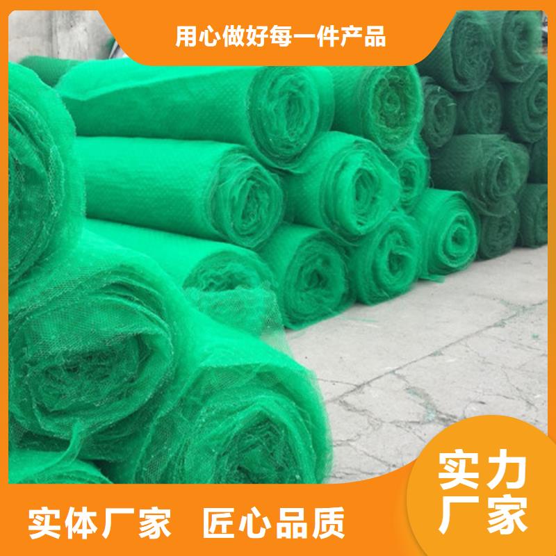 三维植被网-三维网垫优选原材