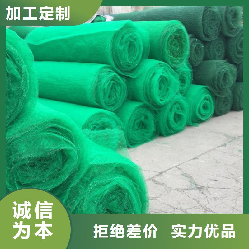 三维植被网土工网国标检测放心购买