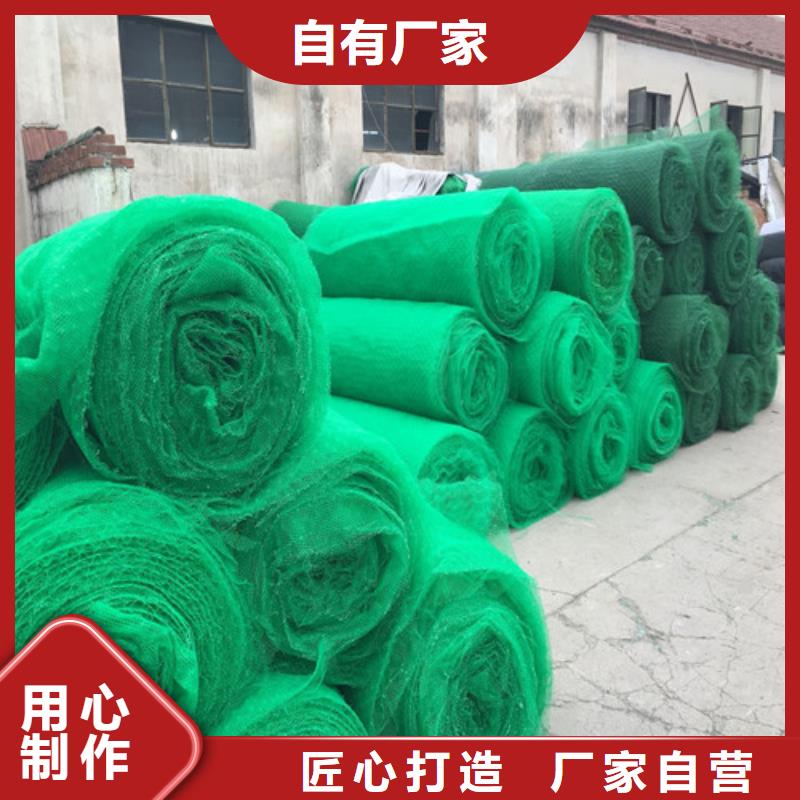 三维植被网土工网国标检测放心购买