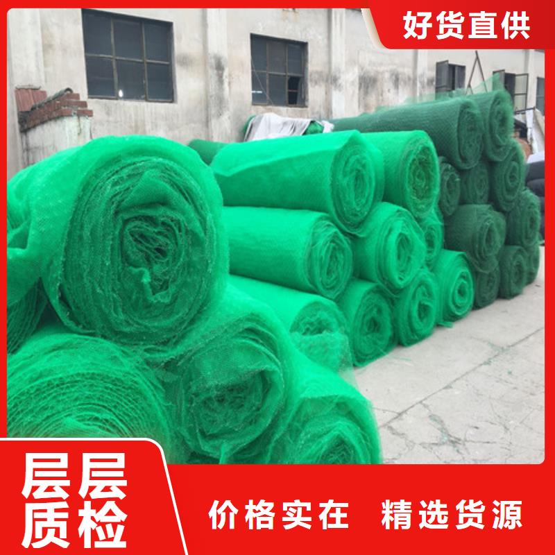 三维植被网HDPE土工膜可定制有保障