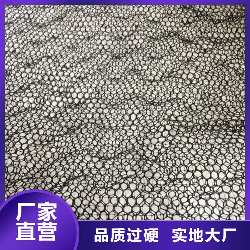 三维植被网三维土工网垫好货采购
