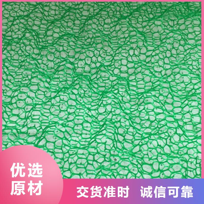 三维植被网土工网国标检测放心购买