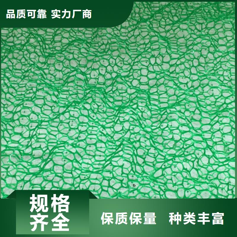 三维植被网三维植被网垫现货满足大量采购