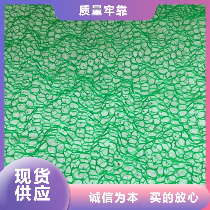 三维植被网三维植被网垫质量不佳尽管来找我
