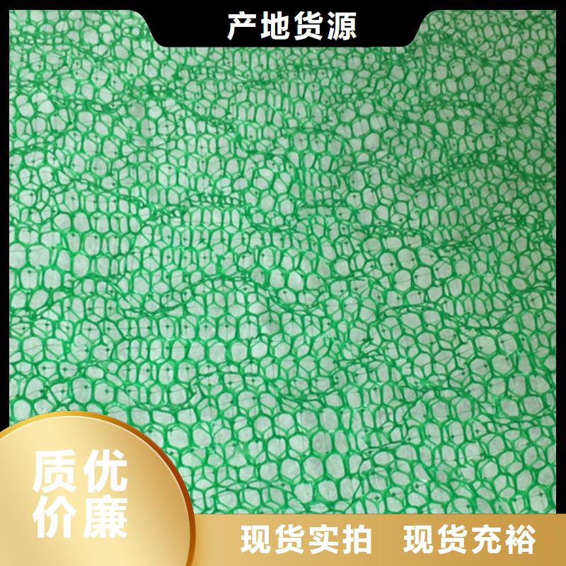 三维植被网塑料排水板保障产品质量
