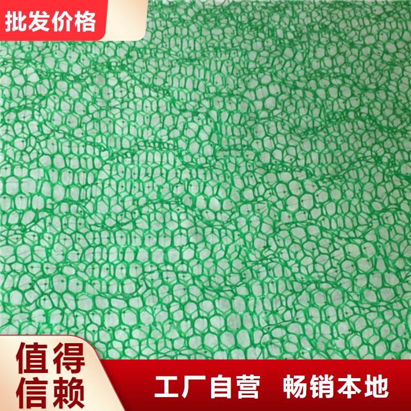 三维植被网,三维网垫专注产品质量与服务