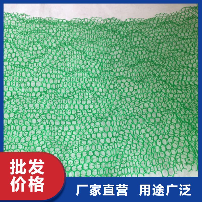三维植被网三维植被网垫严谨工艺