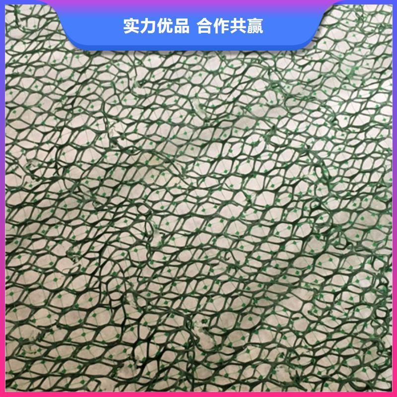 三维植被网,三维土工网垫厂家十分靠谱