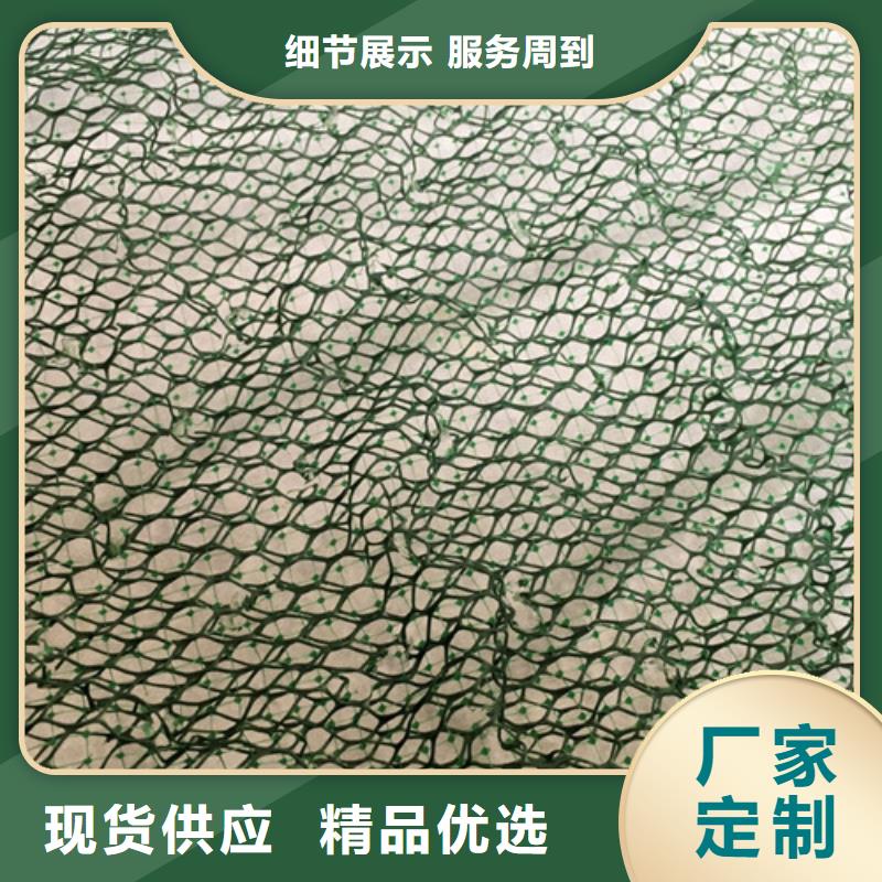 三维植被网三维网垫厂家直销值得选择