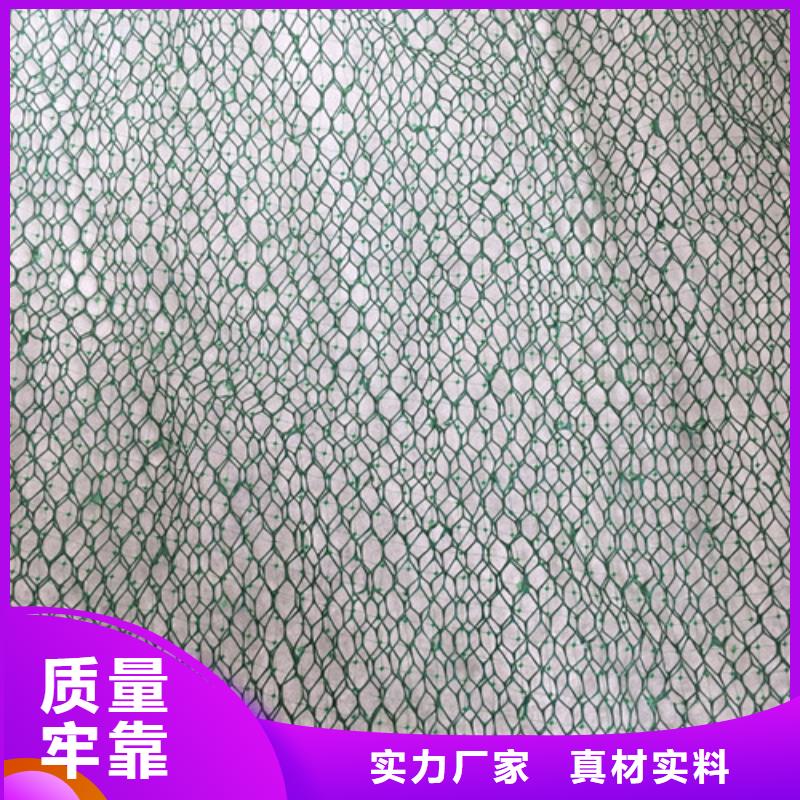 三维植被网,三维网垫专注产品质量与服务