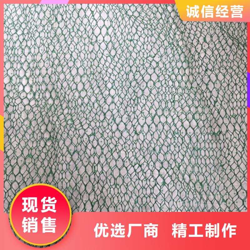 三维植被网土工网国标检测放心购买