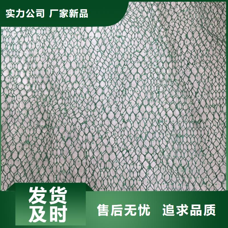 三维植被网,三维植被网垫材质实在