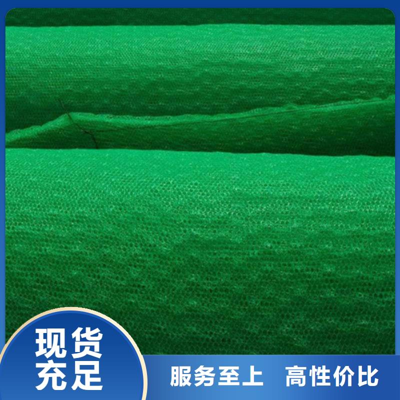 三维植被网三维植被网垫诚信商家