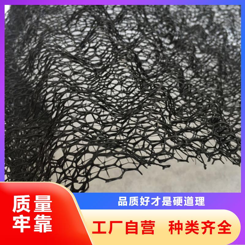 三维植被网,三维网垫专注产品质量与服务