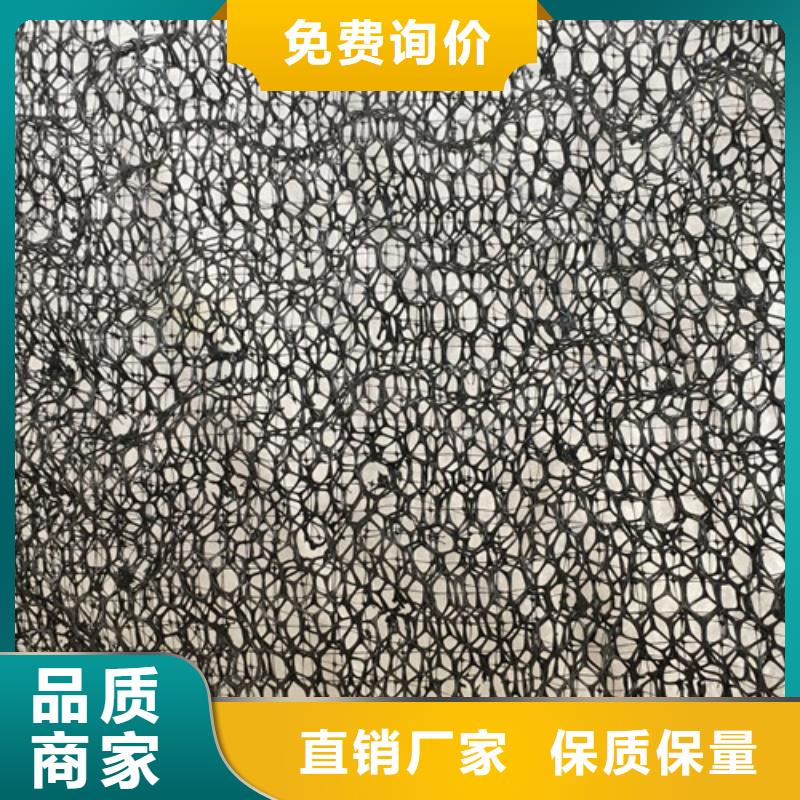 三维植被网,三维土工网垫厂家十分靠谱