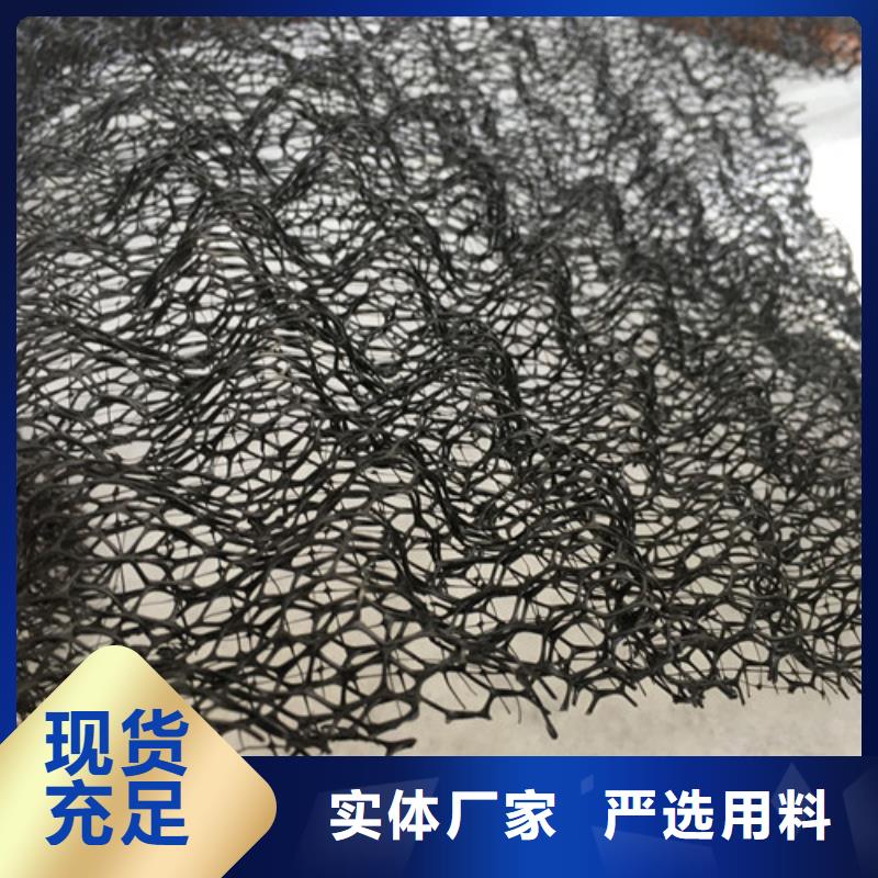 三维植被网土工网国标检测放心购买