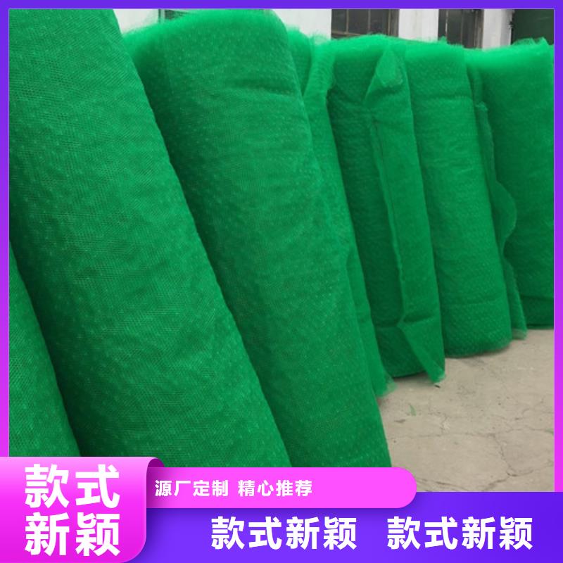 三维植被网加筋麦克垫生产型
