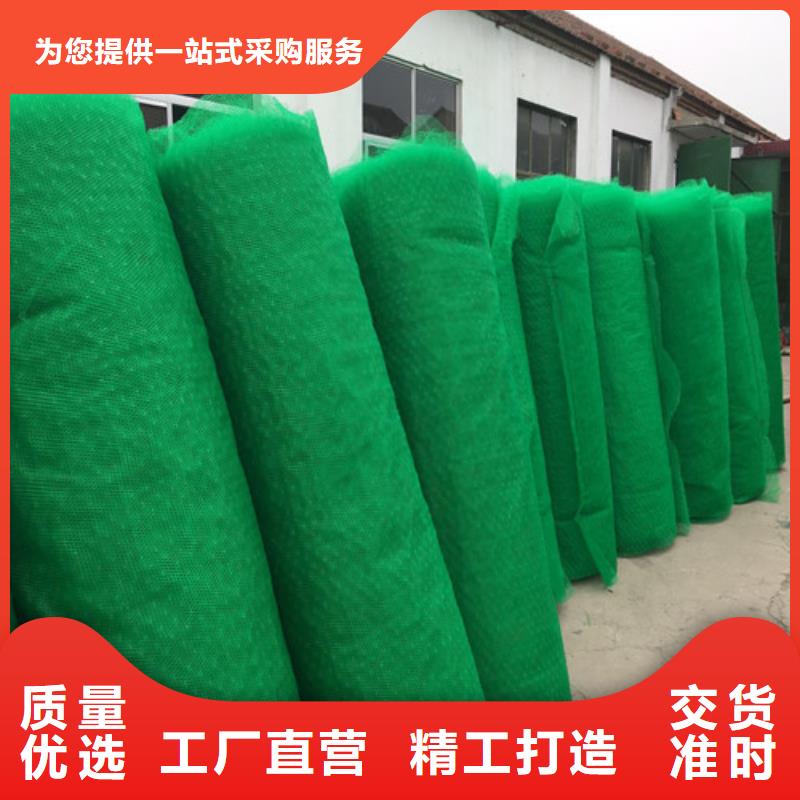 三维植被网,三维植被网垫材质实在