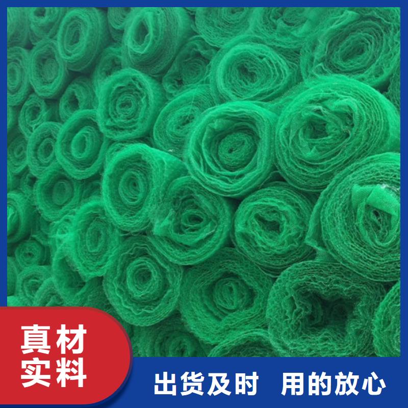 三维植被网三维网垫厂家直销值得选择