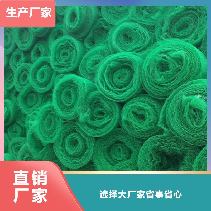 三维植被网软式透水管严格把控质量