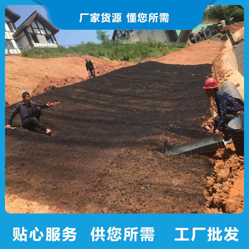 水土保护毯_【膨润土防水毯】厂家直销省心省钱