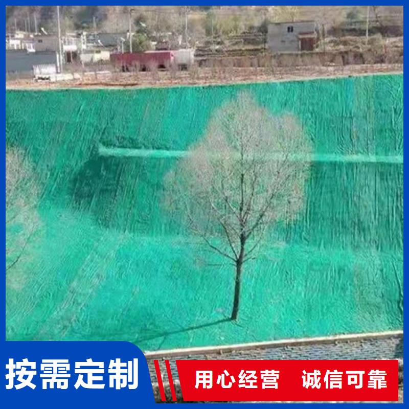 【椰丝毯土工格栅质量无忧】