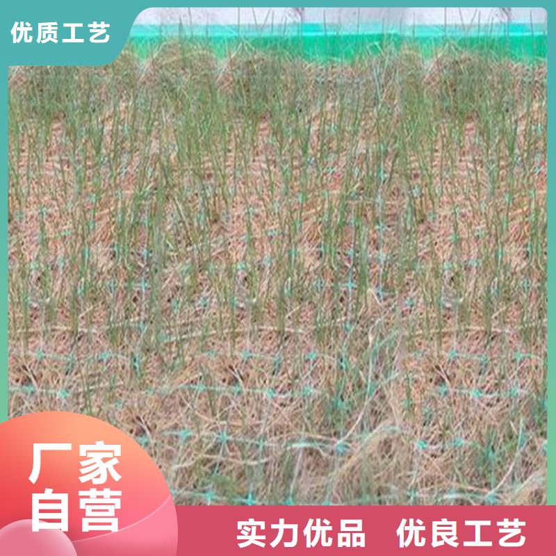 椰丝毯【通风降噪丝网】今年新款